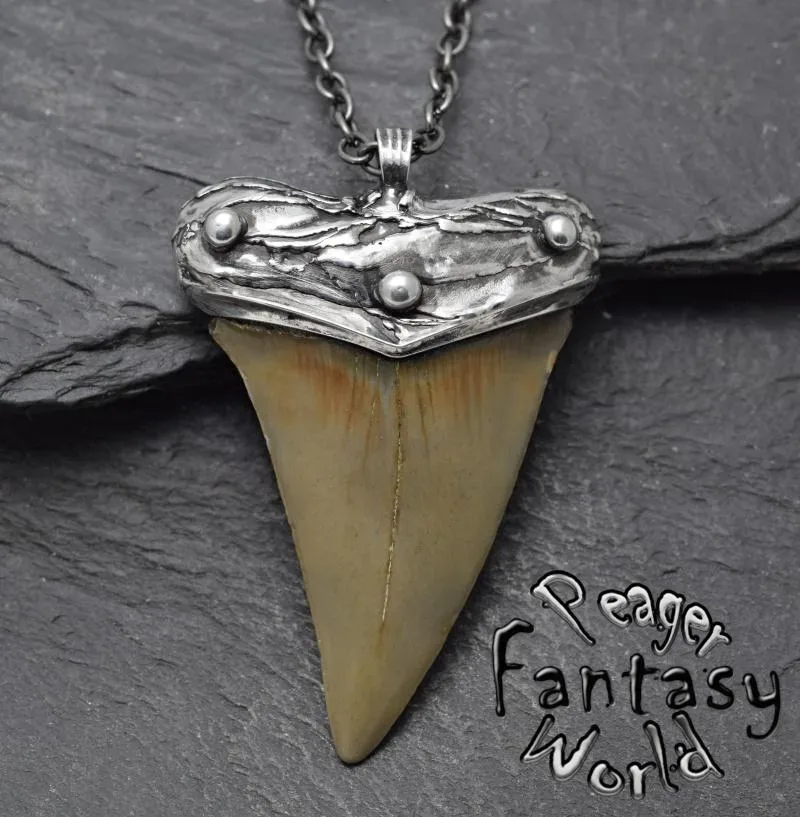 256-Shark Tooth Necklace – Elizabeth Sarah Collections
